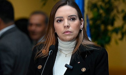 Senadora Camila Flores