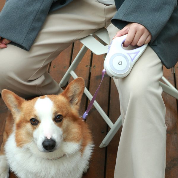 Dog Leash Retractable Leash And Dog Collar Spotlight Automatic Pet Dog Cat Traction Rope For Small Medium Dogs Pet Product - Imagen 2