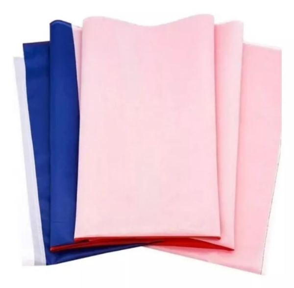 Bandera Chilena 90x150 Cm Fechas Patrias - Imagen 3